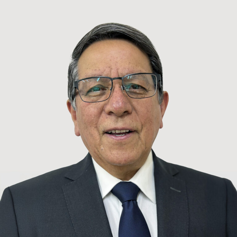 Teodoro Briseño Maldonado